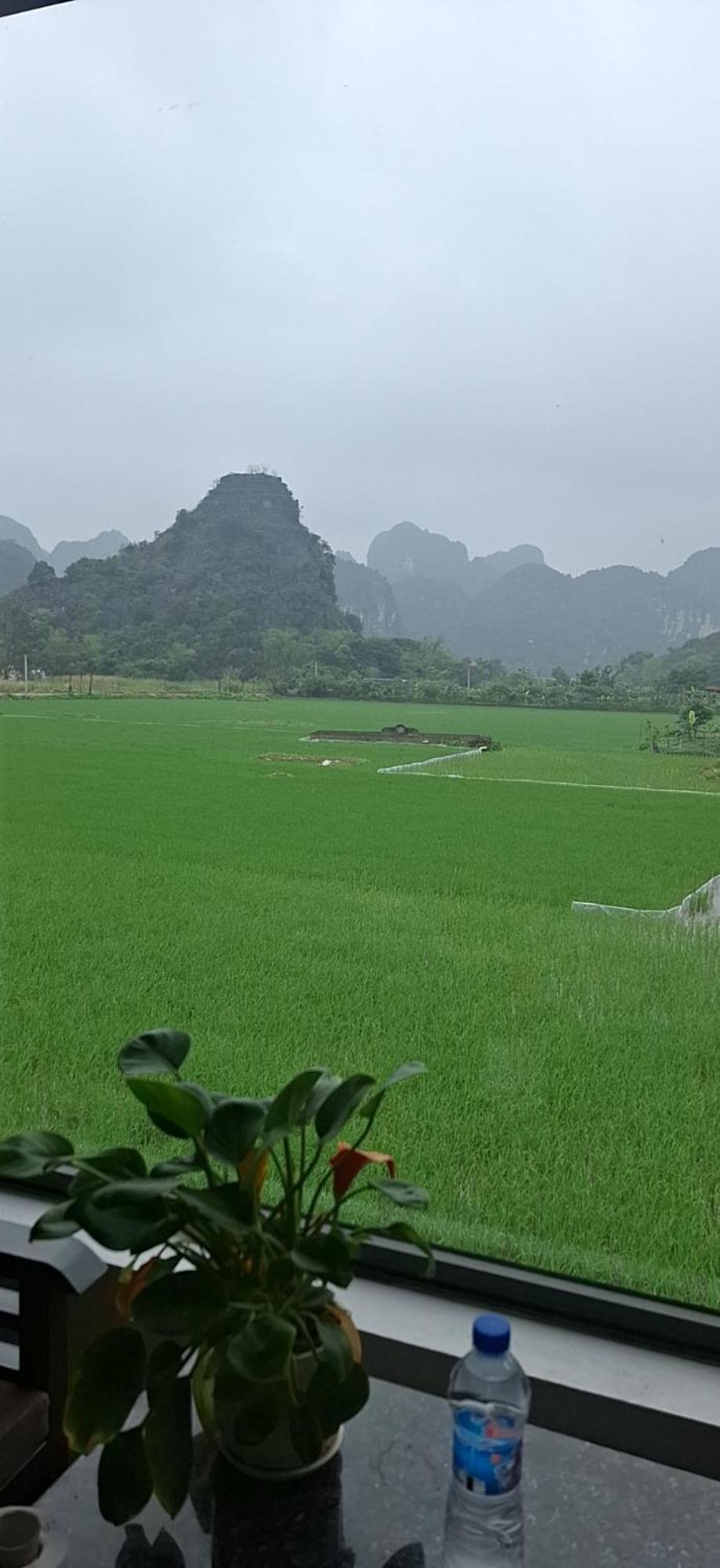 Trang An Rice Field Homestay Ninh Binh Bagian luar foto